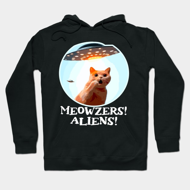 Ufo Cat Hoodie by Outrageous Flavors